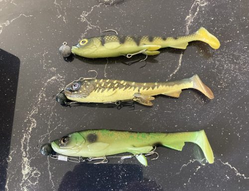 Préparation de la saison 2026/2027